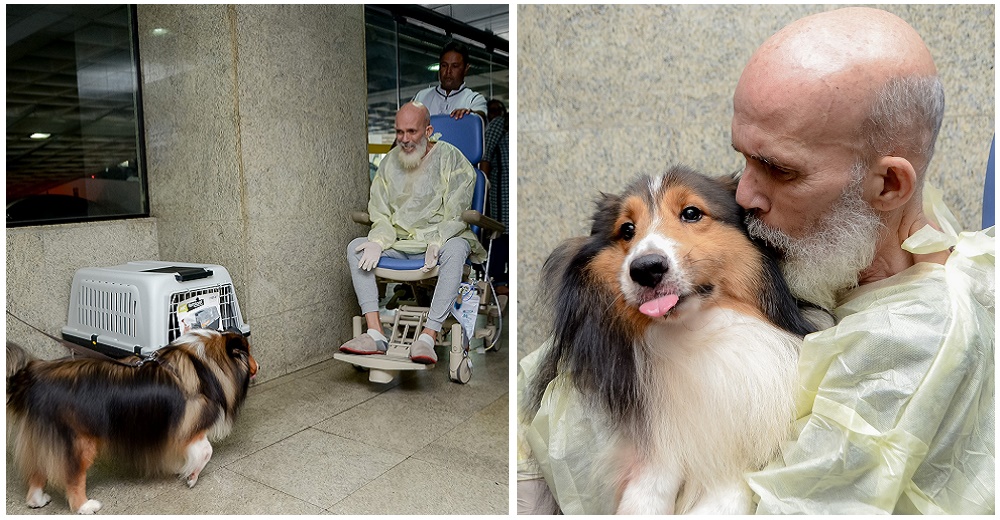 Médicos no pueden creer en la recuperación de un paciente con cáncer tras la visita de su perro Médicos no pueden creer en la recuperación de un paciente con cáncer tras la visita de su perro