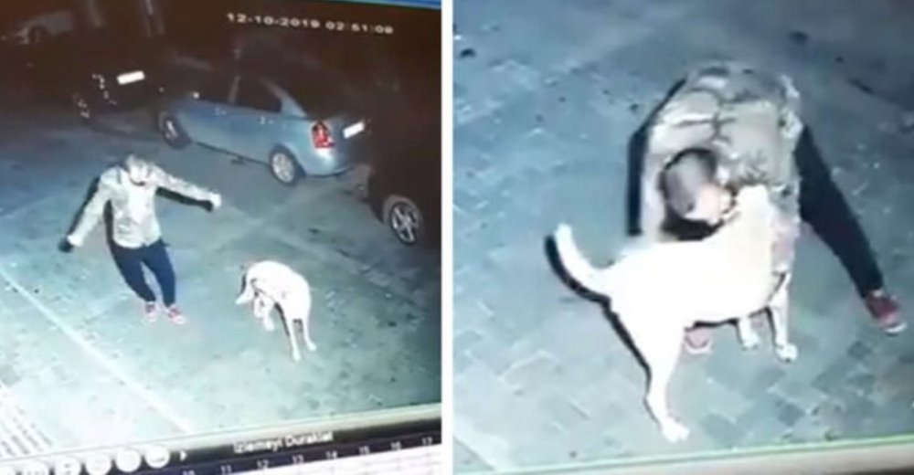 Cámara de seguridad graba a un hombre al encontrarse con un perro abandonado en la calle