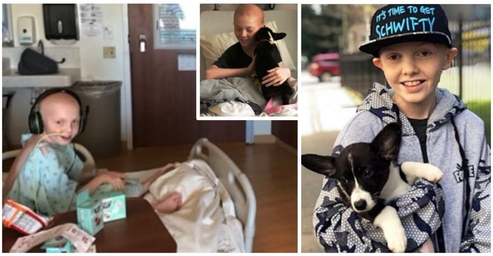 Finalmente recibe el perrito que tanto anhelaba para que lo acompañara a luchar por su vida Finalmente recibe el perrito que tanto anhelaba para que lo acompañara a luchar por su vida