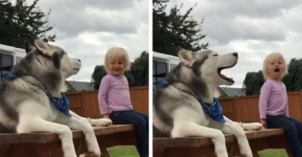 Una niña epiléptica y un perrito tienen una seria conversación completa en su propio idioma