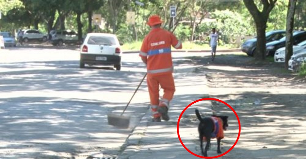 Captan en la calle un perro con el mismo uniforme de un barrendero del que no se separa jamás Captan en la calle un perro con el mismo uniforme de un barrendero del que no se separa jamás
