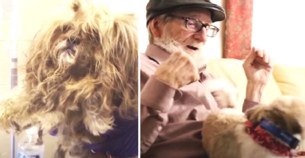 Después de un doloroso pasado se convierte en el mejor aliado de un abuelito con demencia Después de un doloroso pasado se convierte en el mejor aliado de un abuelito con demencia