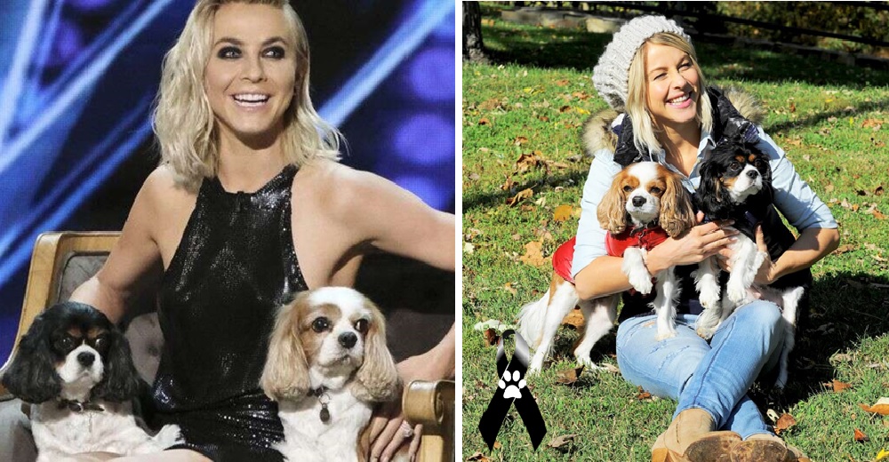 Famosa bailarina publica emotivo mensaje tras el dolor de la muerte de sus 2 perros el mismo día Famosa bailarina publica emotivo mensaje tras el dolor de la muerte de sus 2 perros el mismo día