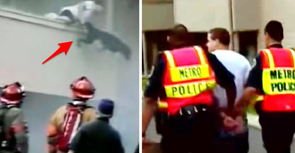 Un hombre es arrestado por entrar a su casa en llamas para salvar la vida de su perro Un hombre es arrestado por entrar a su casa en llamas para salvar la vida de su perro