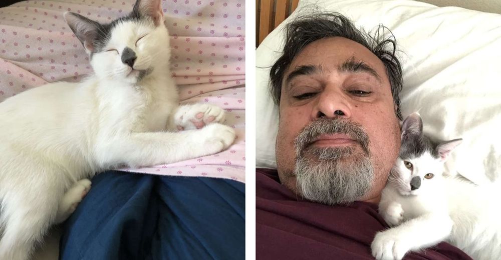 «Me dijo que los detestaba» – Comparte las fotos de su padre mientras cuidaba su gato «Me dijo que los detestaba» – Comparte las fotos de su padre mientras cuidaba su gato