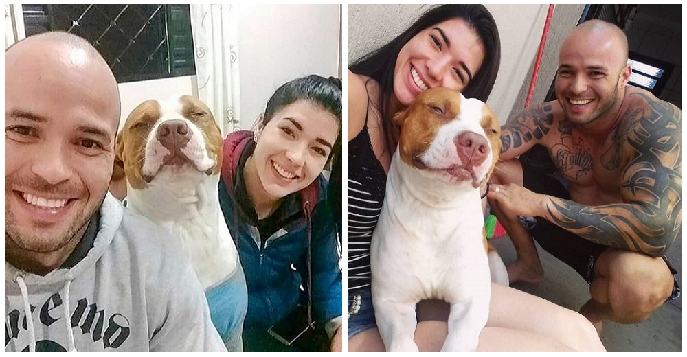 No tenían nada para comer pero tampoco el corazón para dejar atrás a su amado perro Sansón