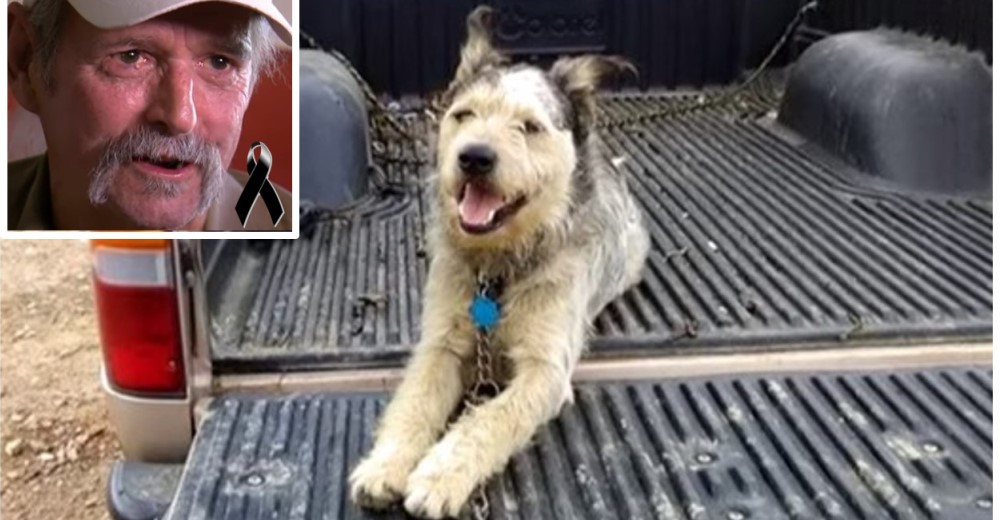 El emotivo desenlace del hombre que luchó para encontrarle un hogar a su perro antes de morir El emotivo desenlace del hombre que luchó para encontrarle un hogar a su perro antes de morir