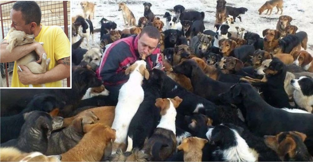Dirige un refugio en el que alberga y cuida a 750 perros que han sido abandonados