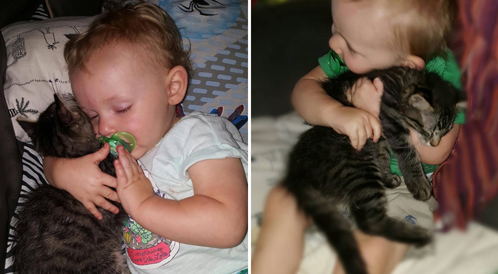 Rescatan a un gatito abandonado sin imaginar que sería el mejor compañero para su bebé Rescatan a un gatito abandonado sin imaginar que sería el mejor compañero para su bebé