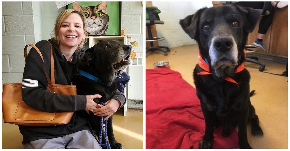 Adopta al perro anciano que nadie quería pues se parece a su mascota fallecida del mismo nombre Adopta al perro anciano que nadie quería pues se parece a su mascota fallecida del mismo nombre