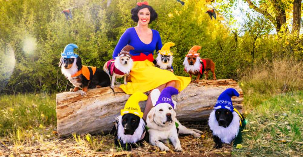 Blancanieves junto a sus 7 perritos se ganan el reconocimiento al mejor disfraz de Halloween