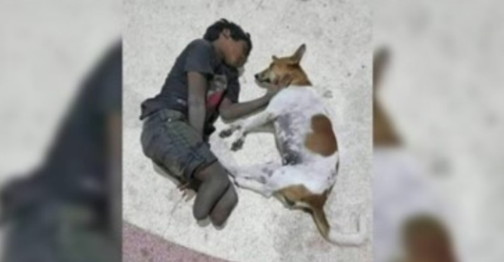 La foto del niño sin piernas durmiendo en la calle acompañado de su amigo fiel emociona al mundo