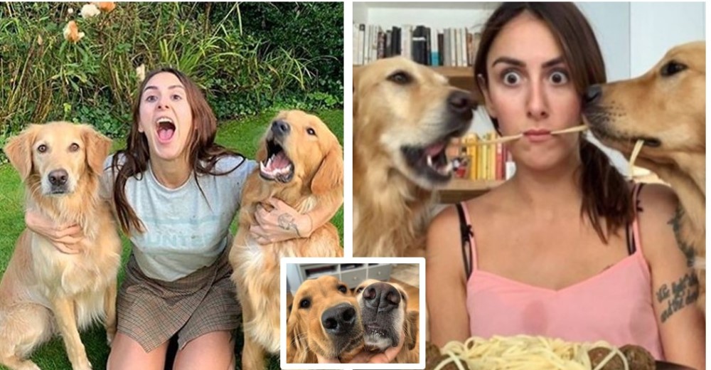 Le dijeron que no era bueno trabajar con perros pero se convirtieron en los modelos perfectos Le dijeron que no era bueno trabajar con perros pero se convirtieron en los modelos perfectos