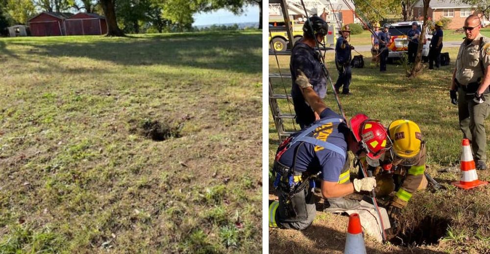 El rescate de un perrito que aullaba desconsolado tras caer en el interior de un pozo El rescate de un perrito que aullaba desconsolado tras caer en el interior de un pozo