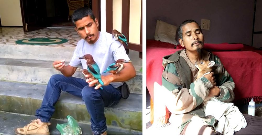 Más de 5000 animalitos se han salvado gracias al amor incondicional de un hombre Más de 5000 animalitos se han salvado gracias al amor incondicional de un hombre