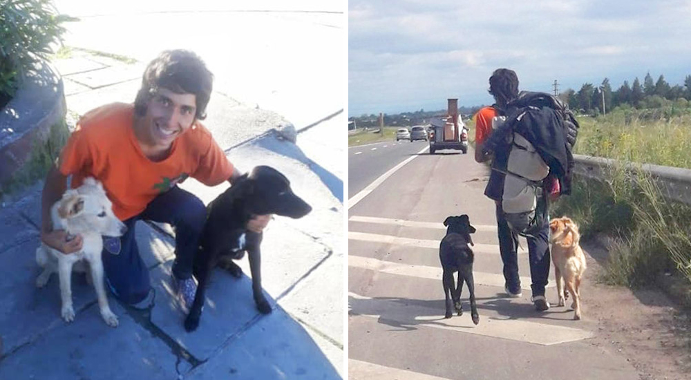 Prefirió caminar kilómetros de regreso a su país que abandonar a sus perritos recién adoptados