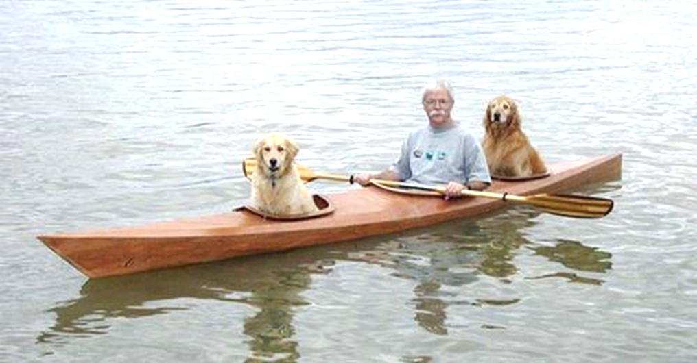 Hombre diseña un kayak personalizado para que sus perritos disfruten de sus aventuras junto a él