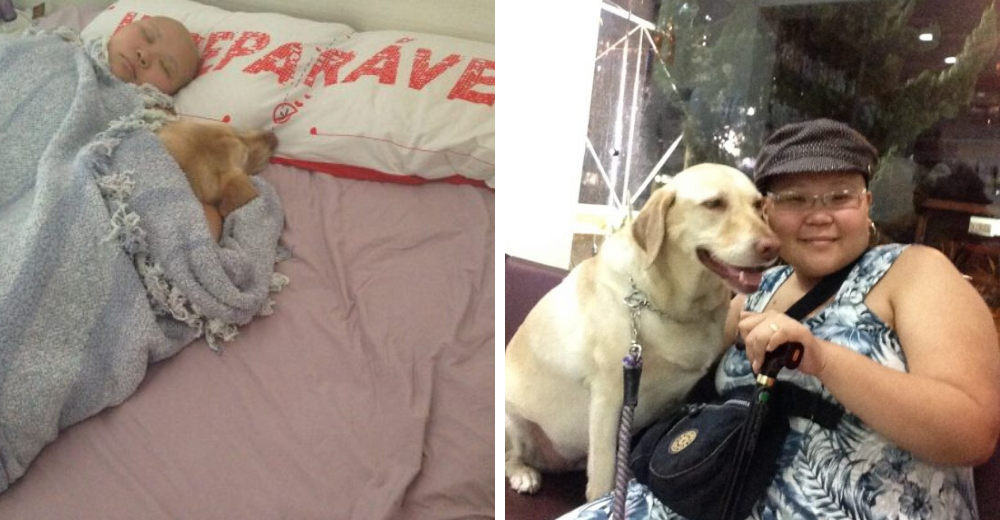 Desde que recibió su devastador diagnóstico, su amada perrita no se separa de su lado Desde que recibió su devastador diagnóstico, su amada perrita no se separa de su lado