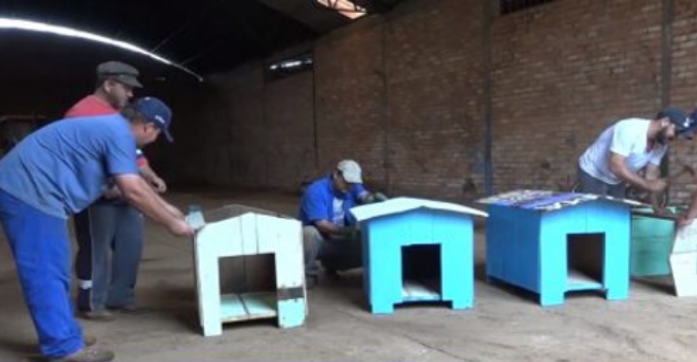 La gran iniciativa de un grupo de trabajadores para proteger a los perros más desfavorecidos