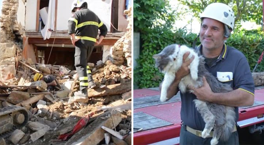 Sobrevive de milagro tras 32 días enterrado gracias a que alguien escuchó sus débiles maullidos Sobrevive de milagro tras 32 días enterrado gracias a que alguien escuchó sus débiles maullidos