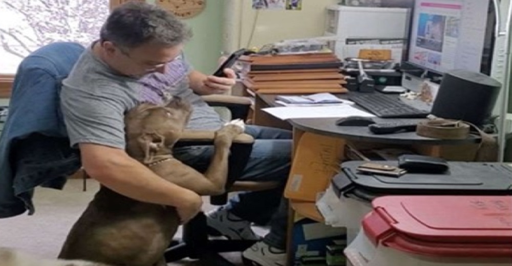 Graba en secreto a su pareja sin sospechar lo que haría con su perro Graba en secreto a su pareja sin sospechar lo que haría con su perro