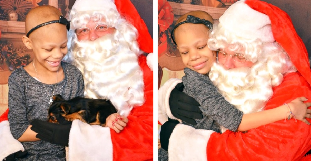 Papá Noel sorprende a una niña de 7 años que lucha contra el cáncer con un precioso cachorrito Papá Noel sorprende a una niña de 7 años que lucha contra el cáncer con un precioso cachorrito