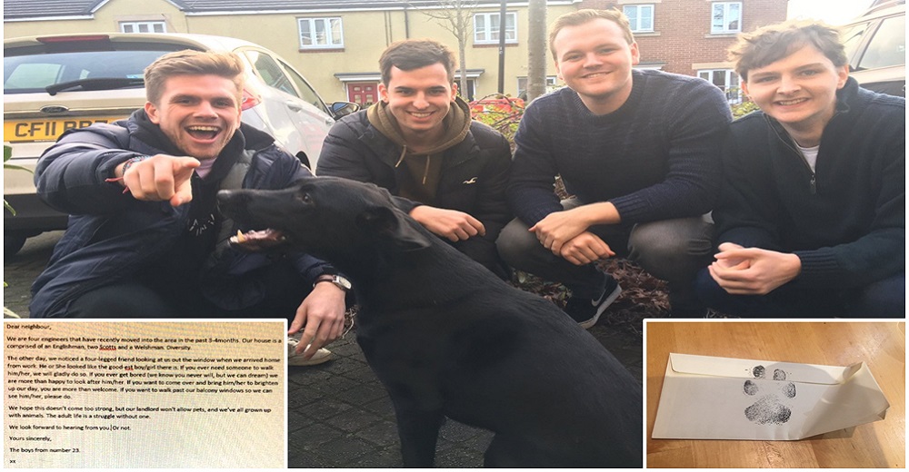 Cuatro amigos escriben una carta a la perrita del vecino y la respuesta inunda las redes Cuatro amigos escriben una carta a la perrita del vecino y la respuesta inunda las redes