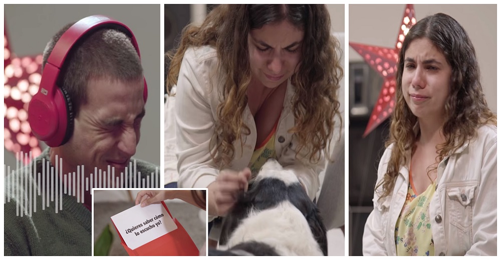 No saben que un perrito entrará para hacerles un pedido desesperado y rompen a llorar No saben que un perrito entrará para hacerles un pedido desesperado y rompen a llorar