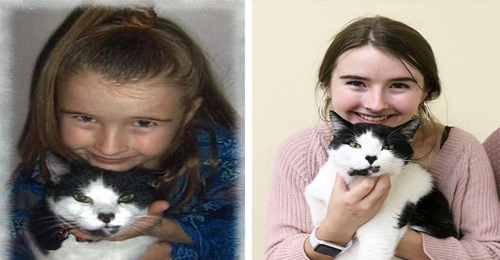 Se ofrece como voluntaria en un refugio y encuentra a su gatito que perdió cuando era una niña Se ofrece como voluntaria en un refugio y encuentra a su gatito que perdió cuando era una niña