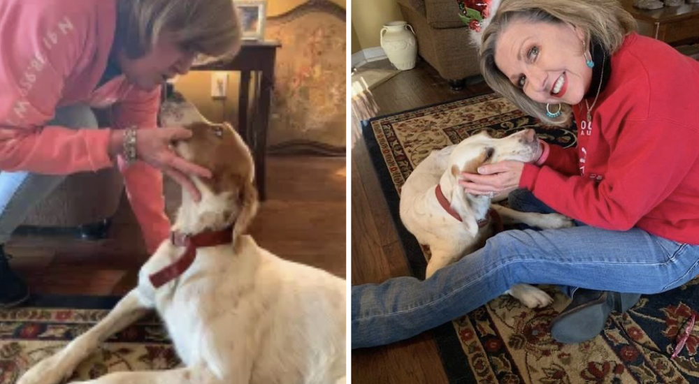 Perrito se escapa de su hogar y vive la mayor aventura de su vida «tras las rejas»