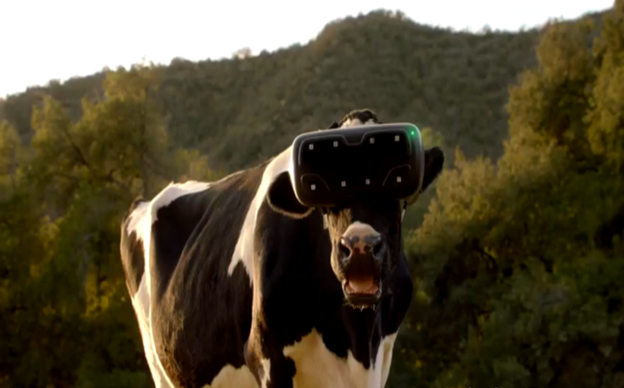 Usan lentes de realidad virtual en vacas estresadas para hacerles creer que son libres Usan lentes de realidad virtual en vacas estresadas para hacerles creer que son libres