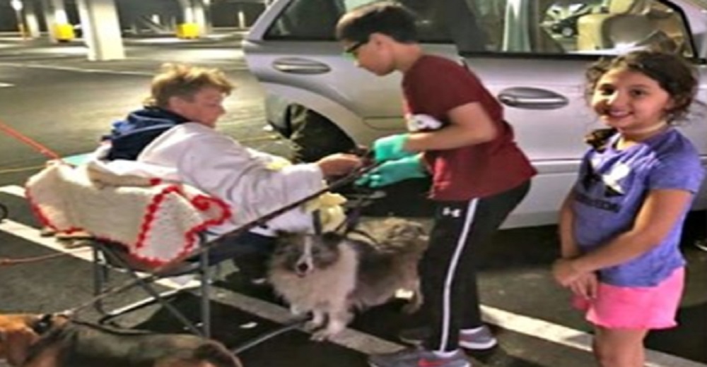Vecinos se unen para cambiar la suerte de la mujer que acabó viviendo con sus perros en la calle Vecinos se unen para cambiar la suerte de la mujer que acabó viviendo con sus perros en la calle