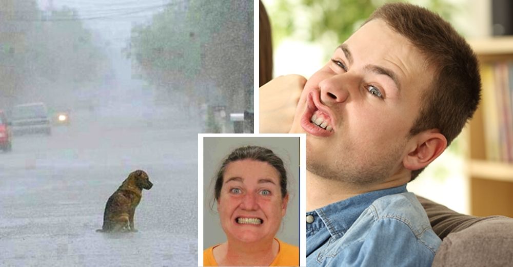 Arrestan a una mujer que golpeó a su novio por dejar a su amado perro bajo la lluvia Arrestan a una mujer que golpeó a su novio por dejar a su amado perro bajo la lluvia
