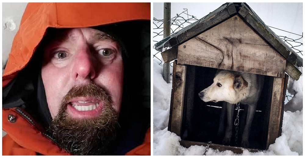 Veterinario pasa la noche en una casa de perros para mostrar cuánto sufren ellos en el invierno Veterinario pasa la noche en una casa de perros para mostrar cuánto sufren ellos en el invierno