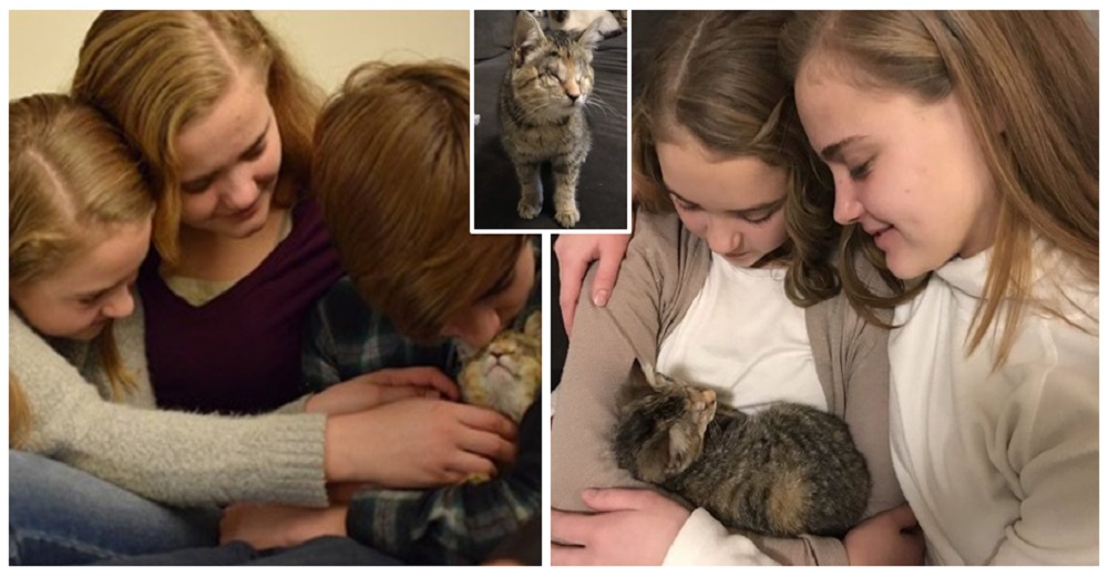 Gatita tirada en la basura consigue un hogar junto a niños que sufrieron el peor abandono Gatita tirada en la basura consigue un hogar junto a niños que sufrieron el peor abandono