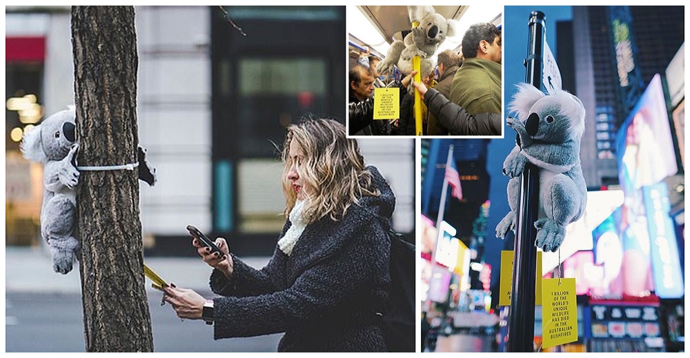 Peluches de koalas colgando de postes y árboles con un mensaje conmueven a miles de personas