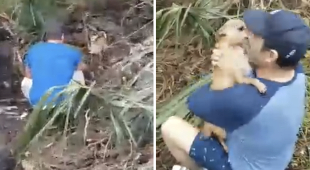 Se reencuentra con su familia 5 días después de un accidente de tránsito en el que desapareció