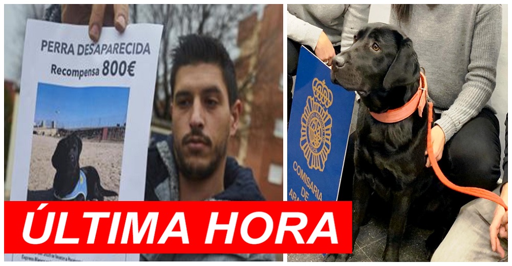 Detienen al adiestrador de la perrita Pocahontas por fingir su supuesto robo a punta de pistola Detienen al adiestrador de la perrita Pocahontas por fingir su supuesto robo a punta de pistola