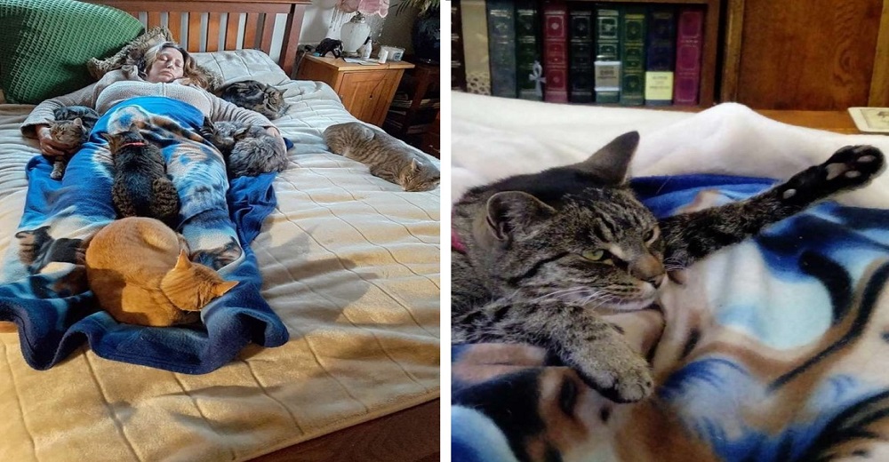 Cuando sus 5 gatos supieron que ella no se podía mover se acurrucaron todos a su alrededor Cuando sus 5 gatos supieron que ella no se podía mover se acurrucaron todos a su alrededor