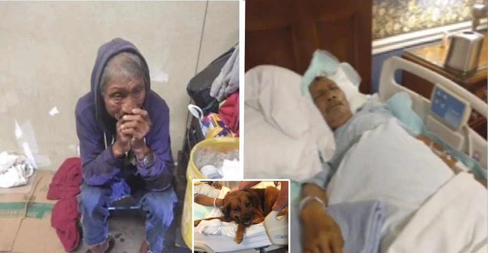 Indigente al borde de la muerte llora cuando siente la patita de su incondicional perrito Indigente al borde de la muerte llora cuando siente la patita de su incondicional perrito