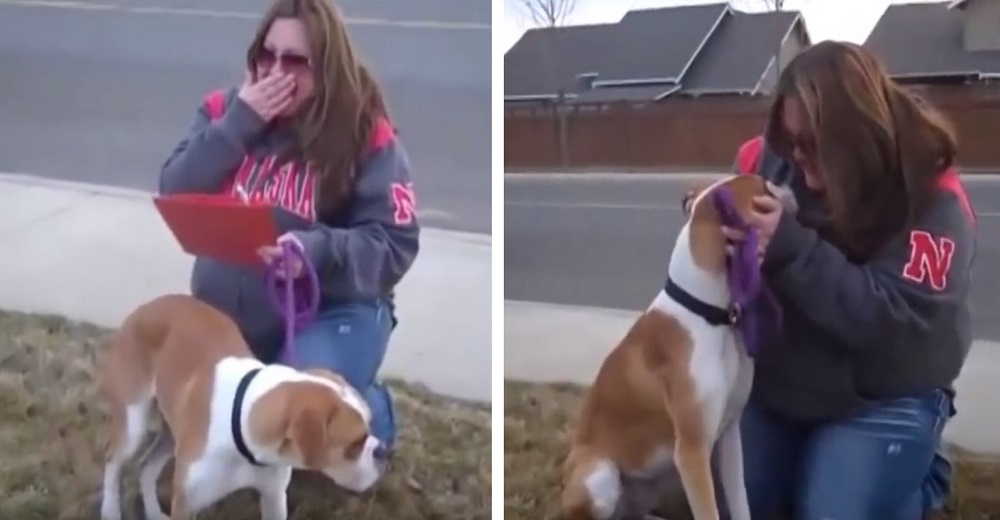 Madre de acogida queda en shock al leer los papeles de adopción del perrito que cuidaba Madre de acogida queda en shock al leer los papeles de adopción del perrito que cuidaba