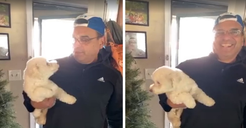 Busca a su perro en la peluquería canina y su esposa le advierte que «esa no era su mascota» Busca a su perro en la peluquería canina y su esposa le advierte que «esa no era su mascota»