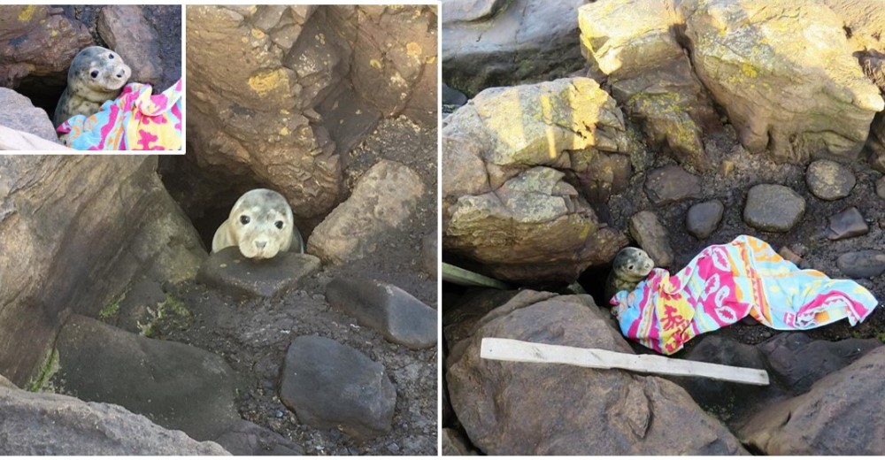 No estaba posando, atrapada en las rocas sólo suplicaba al cielo que alguien llegara a ayudarla