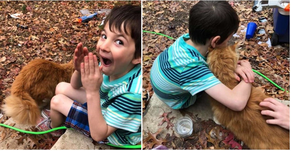 Niño desolado después de que su gato murió es sorprendido por un nuevo amigo que tocó su puerta