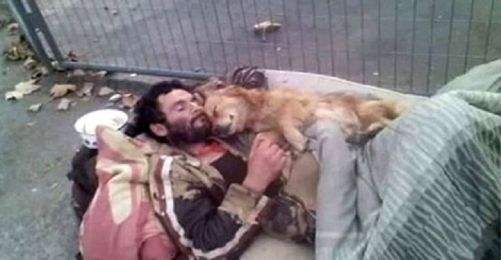 Captan a un hombre sin hogar y su perro abrazados fuertemente para consolarse en el desamparo