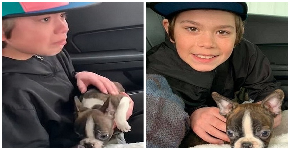 Un niño de 13 años recibe a un cachorro como un regalo de cumpleaños de su padre fallecido Un niño de 13 años recibe a un cachorro como un regalo de cumpleaños de su padre fallecido