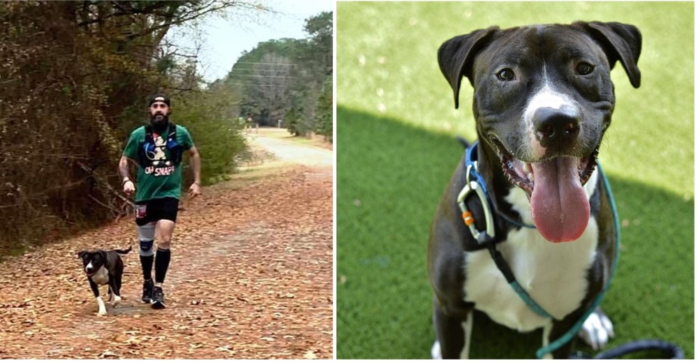 Muy emocionado se une a la carrera y corre 24 kilómetros para encontrar una familia que lo ame