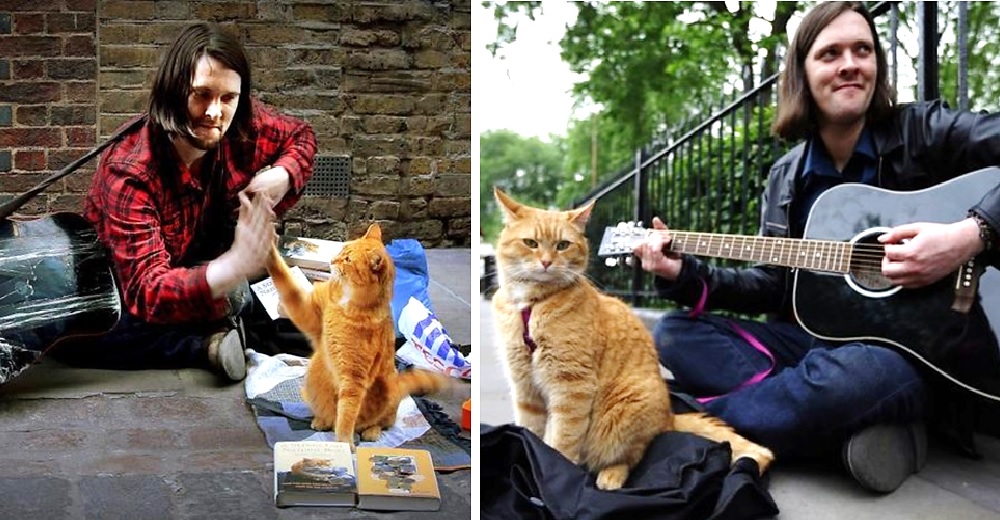 Un joven músico vivía en las calles hasta que un dulce gatito le devolvió las ganas de vivir