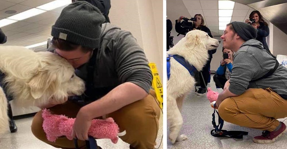 Salvan a un perrito en deplorables condiciones y logran que se reúna con su dueño 3 años después Salvan a un perrito en deplorables condiciones y logran que se reúna con su dueño 3 años después