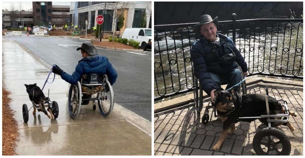 Perrito en silla de ruedas y devuelto 4 veces, es adoptado por un hombre con su misma condición